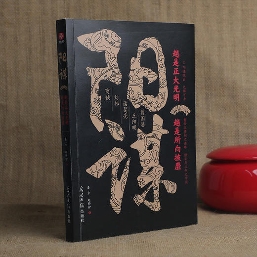 阳谋：越是正大光明，越是所向披靡 看帝王将相之谋略 懂安身立命 商品图7