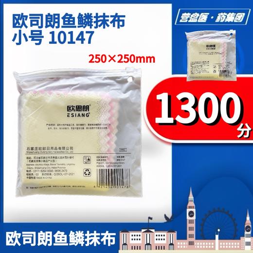 227676	欧司朗鱼鳞抹布小号 10147 商品图1