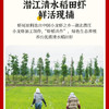 湖北潜江麻辣/蒜蓉小龙虾，微波加热即食 一盒700g 商品缩略图5