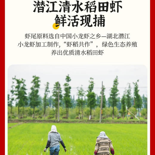 湖北潜江麻辣/蒜蓉小龙虾，微波加热即食 一盒700g 商品图5