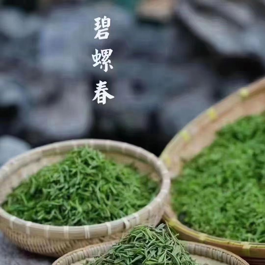 碧螺春绿茶 2026年新茶 炒青尝鲜装/特级/一级  2025dw