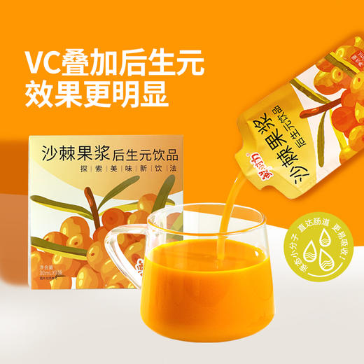 鲜时力 沙棘果浆后生元饮品 商品图4