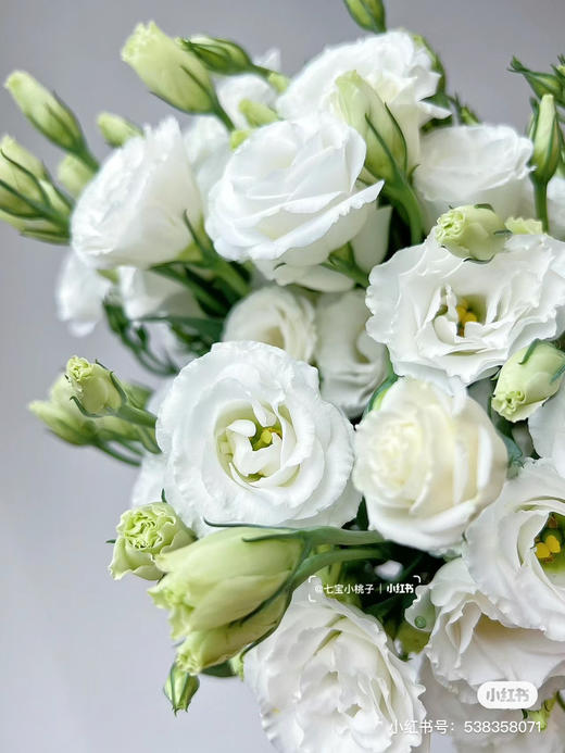 国产花材-【洋桔梗】白色 商品图0