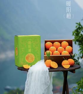 暖阳橙（8斤装）