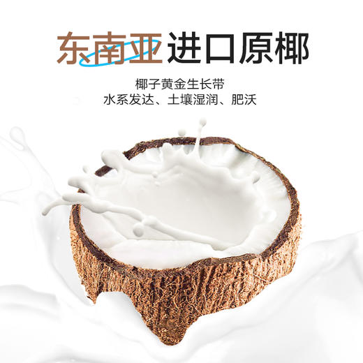 小杨臻选 生榨椰汁 （植物蛋白饮料） 250g*10瓶  即饮生椰 整箱装 商品图1