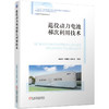 退役动力电池梯次利用技术 李建林 李雅欣 黄碧斌 退役动力电池梯次利用的技术流程原理书籍 商品缩略图0