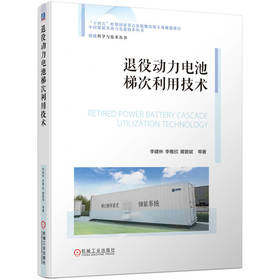 退役动力电池梯次利用技术 李建林 李雅欣 黄碧斌 退役动力电池梯次利用的技术流程原理书籍