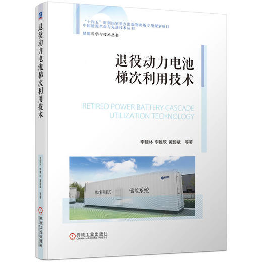 退役动力电池梯次利用技术 李建林 李雅欣 黄碧斌 退役动力电池梯次利用的技术流程原理书籍 商品图0