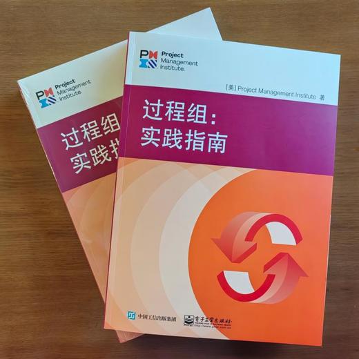 过程组 实践指南 基于过程的项目管理方法 PMI的PgMP PMP CAPM认证考试的教材 美国项目管理协会 电子工业出版社 商品图1