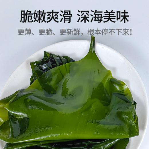 福建霞浦鲜采小海带 海洋蔬菜 洁净海域 鲜嫩脆爽 商品图1