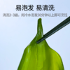 福建霞浦鲜采小海带 海洋蔬菜 洁净海域 鲜嫩脆爽 商品缩略图3