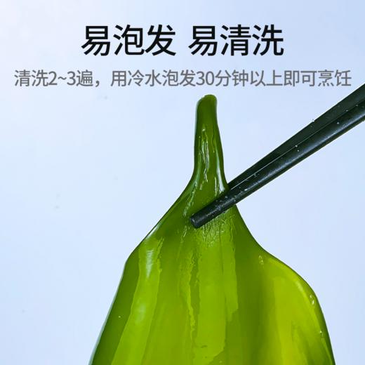 福建霞浦鲜采小海带 海洋蔬菜 洁净海域 鲜嫩脆爽 商品图3