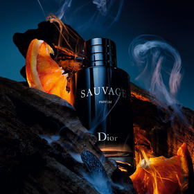 Dior 迪奥 克丽丝汀迪奥旷野香精