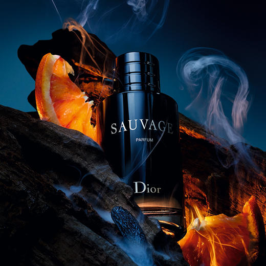 Dior 迪奥 克丽丝汀迪奥旷野香精 商品图0