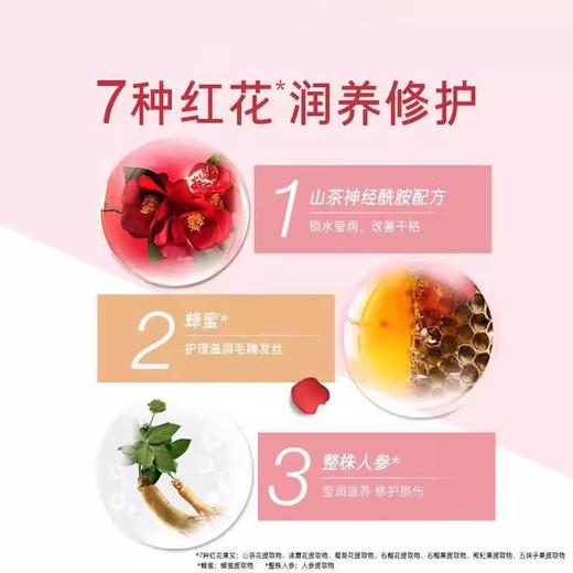 400ml吕含光耀护莹润修护洗发水（红） 修护毛燥 补充营养 商品图1