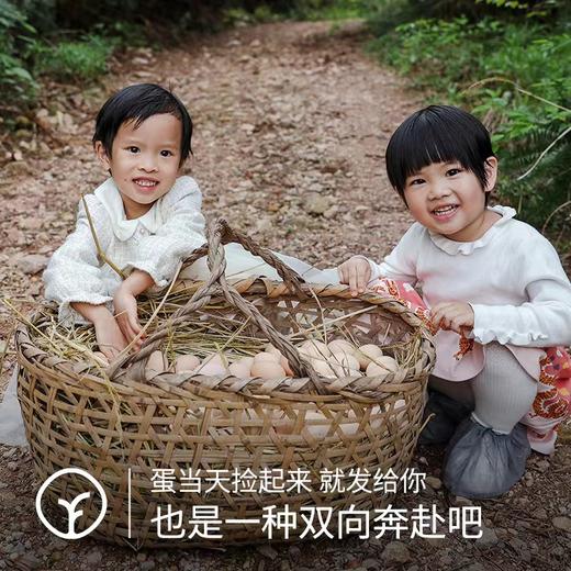 【有机】0农残有机土鸡蛋 30枚/箱，现捡现发，只发当日鲜鸡蛋 商品图3