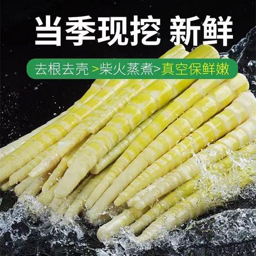 八乡纯野生苦笋 商品图0