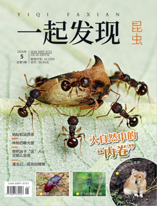 2024年《一起发现》过刊10本一次发出 商品图3