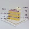 芋泥麻薯豆乳奶油蛋糕 商品缩略图2