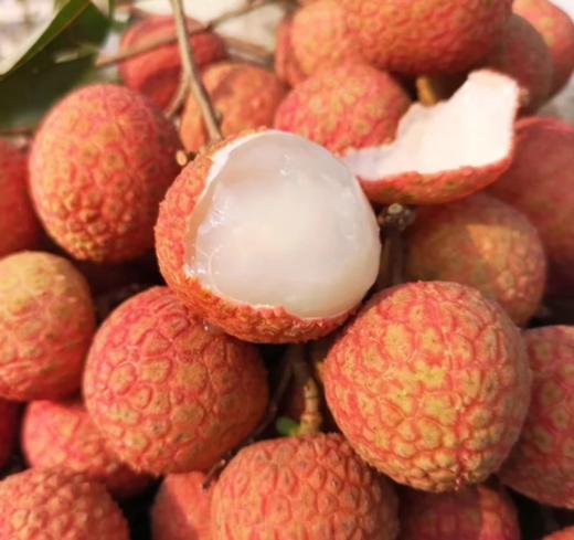 云南水东荔枝500g 商品图0