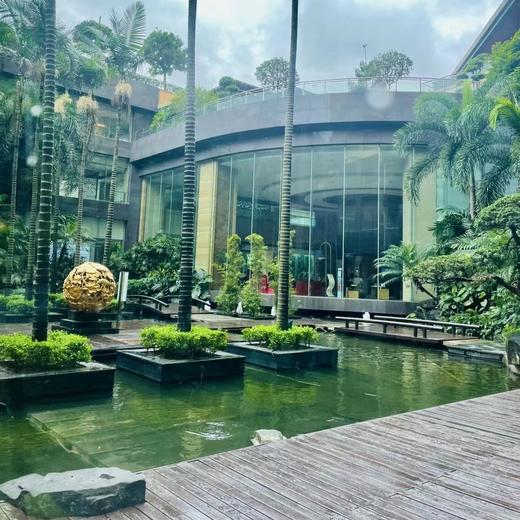 【东莞旅居】￥449起/单人2晚 -- 东莞五钻华尔登国际酒店旅居，2人起订，隐藏在都市中心的“森林秘境” 商品图3