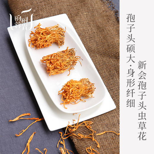 【昀蓉时光· ·新会正宗孢子头虫草花】孢子头硕大·身形纤细（100g/盒  200g/盒) 商品图5