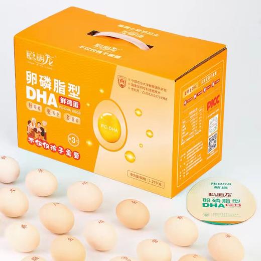 聪明龙 卵磷脂型DHA鲜鸡蛋，含量高，额外含ALA、叶黄素 商品图2