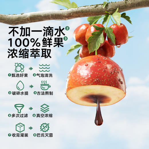 【宝宝馋了】婴幼儿益生元山楂六物膏 甄选6种食材熬制 送12月+婴幼儿食谱 商品图2