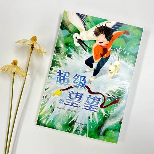 超级望望—— 一个像阿甘一般的少年，想要自由地在冰上“飞翔” 商品图7