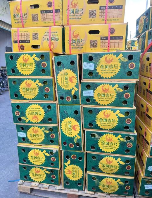 【金凤树熟金枕榴莲】树上熟  皮薄  果肉饱满绵密  榴莲味浓郁  果型好  回味无穷！ 商品图8