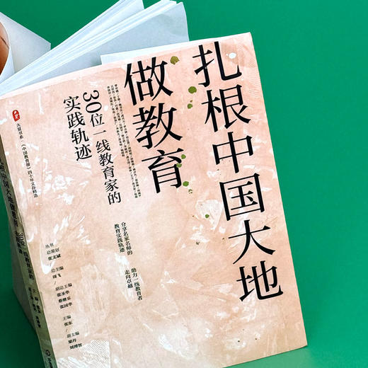 扎根中国大地做教育 30位一线教育家的实践轨迹 大夏书系 商品图3