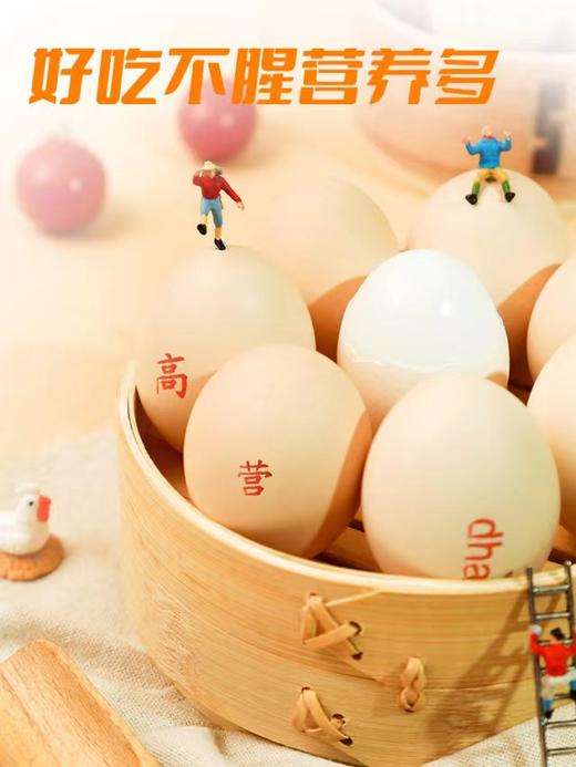 聪明龙 卵磷脂型DHA鲜鸡蛋，含量高，额外含ALA、叶黄素 商品图3