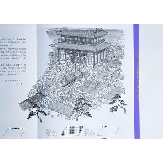 【特价】日本营造之美：第一辑（套装共5册）法隆寺 桂离宫 巨大古坟 江户町（上、下） 商品图9