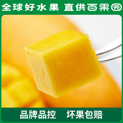 百果园 金煌芒（中）5斤普通装 商品图2
