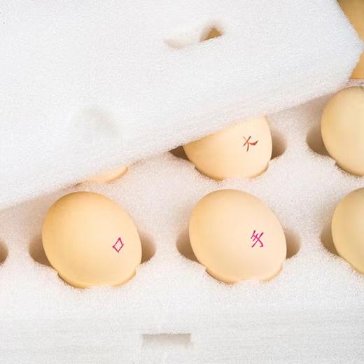 聪明龙 卵磷脂型DHA鲜鸡蛋，含量高，额外含ALA、叶黄素 商品图4