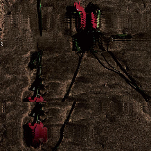 遗忘玫瑰 商品图1