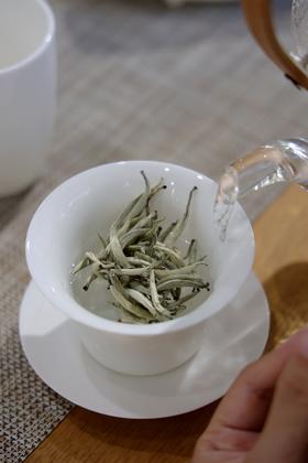 「云白1840」清甜蜜韵，全芽头普洱白茶