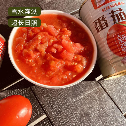 S【生产日期2022年9月】笑厨番茄丁400g 西红柿 商品图3