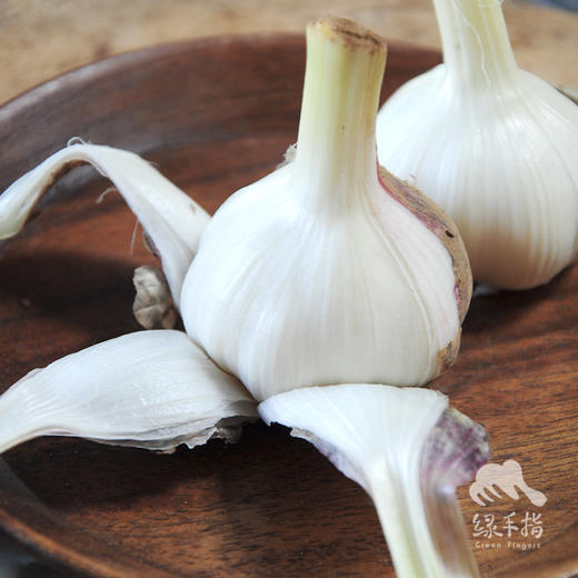 生态山东大蒜（干） | 合作生产*Ecological fresh garlic | Coproduction 商品图1