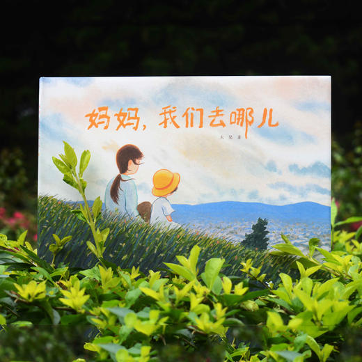 大吴图画书系列(3册) 商品图1