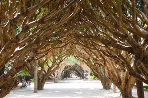 “依沙傍海”的神秘国度丨阿尔及利亚11天摄影团 商品图8