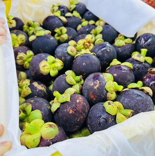 泰国空运山竹 7A大果 商品图12