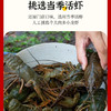 湖北潜江麻辣/蒜蓉小龙虾，微波加热即食 一盒700g 商品缩略图6