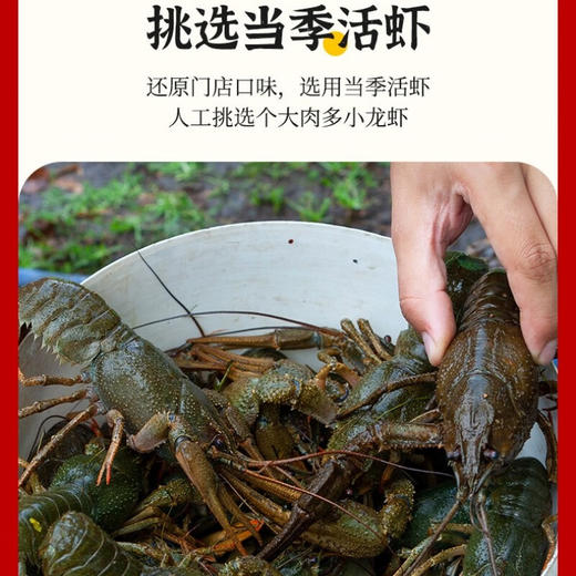 湖北潜江麻辣/蒜蓉小龙虾，微波加热即食 一盒700g 商品图6