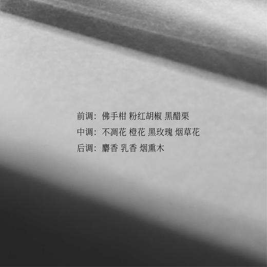 遗忘玫瑰 商品图2