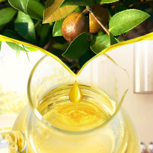 通山唐老农山茶油500ml体验装 商品图2