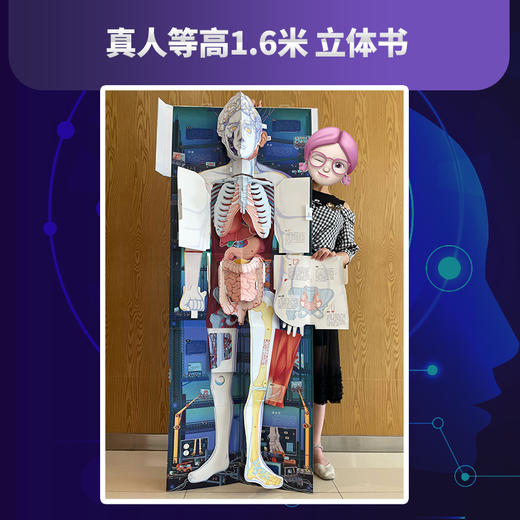人体工程师 立体书 商品图3