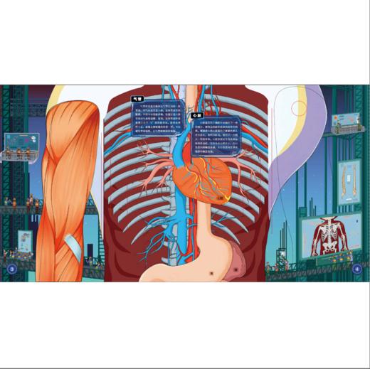 人体工程师 立体书 商品图7