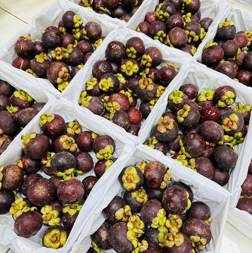 泰国空运4A山竹，5斤礼盒装一箱 商品图2