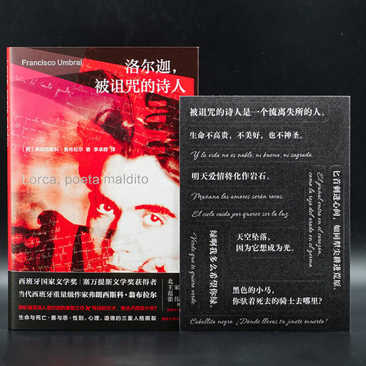 洛尔迦，被诅咒的诗人 （守望者·传记） 西班牙国家文学奖、塞万提斯文学奖获得者弗朗西斯科·翁布拉尔 剖析魔灵诗人洛尔迦的果敢之作 商品图4